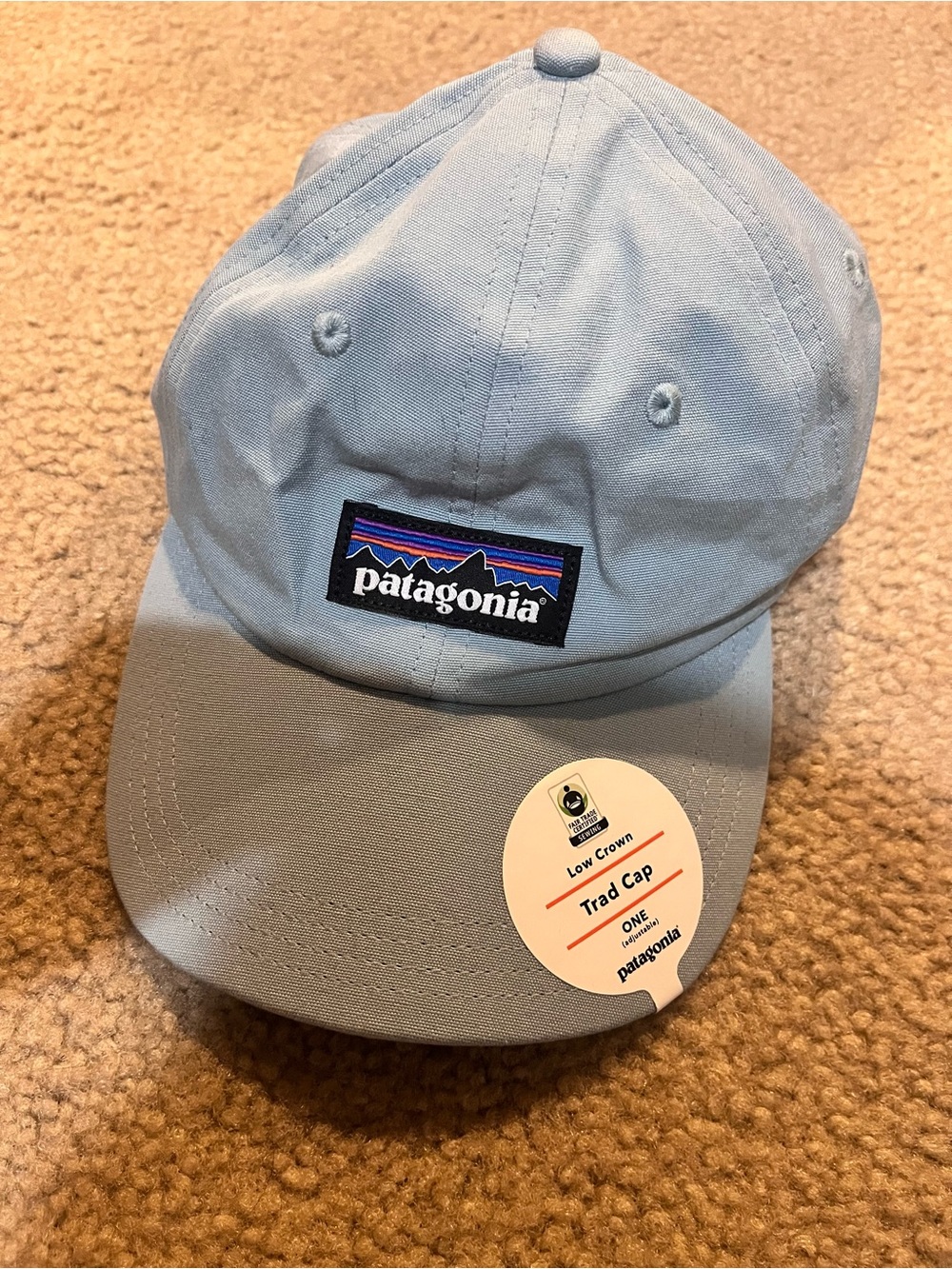 NWT Patagonia Sky Blue Low Crown Trad Cap Gorpcore Organic Cotton Hat Cap